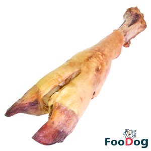 تشویقی پاچه گوساله