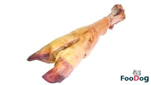 تشویقی طبیعی پاچه گوساله خشک شده